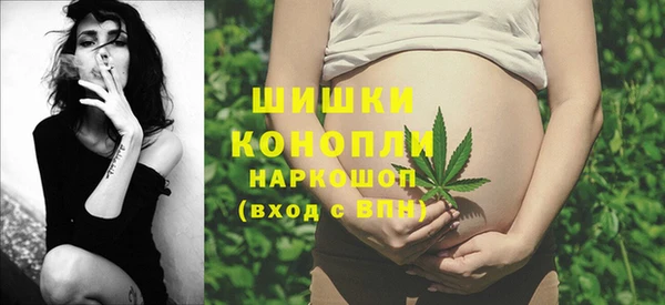 гашик Аркадак