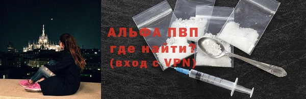 гашик Аркадак