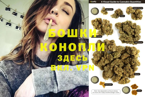 гашик Аркадак