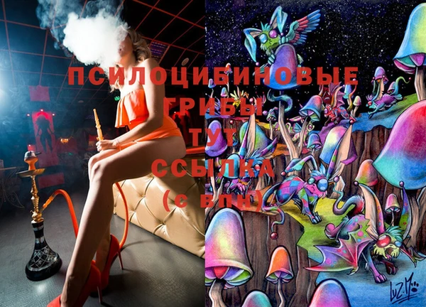 гашик Аркадак