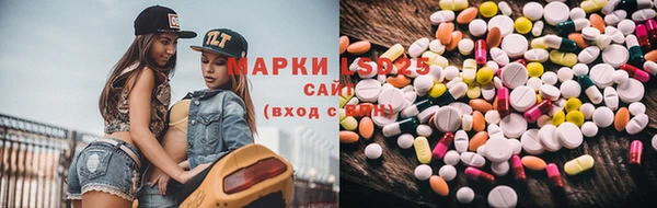 гашик Аркадак