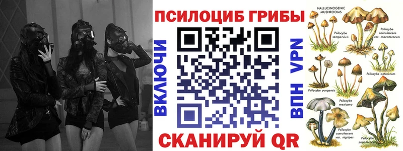 МЕГА ССЫЛКА  Полысаево  Псилоцибиновые грибы мицелий 